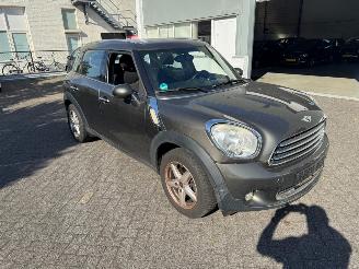Mini Countryman 1.6 Panoramadak picture 2