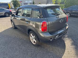Mini Countryman 1.6 Panoramadak picture 5