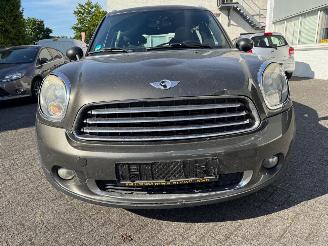 Mini Countryman 1.6 Panoramadak picture 7