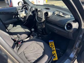 Mini Countryman 1.6 Panoramadak picture 14