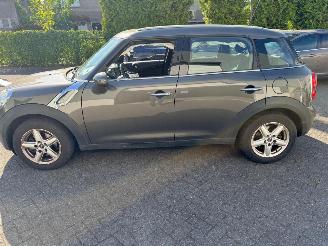 Mini Countryman 1.6 Panoramadak picture 6