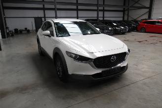 Mazda CX-30 SUV picture 6