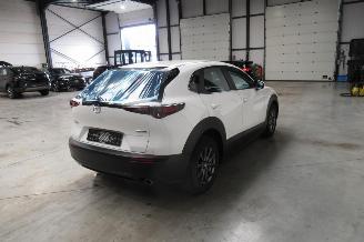 Mazda CX-30 SUV picture 5