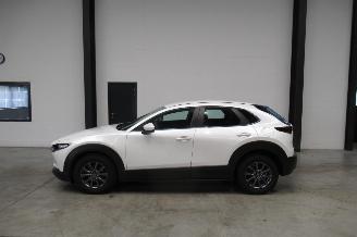 Mazda CX-30 SUV picture 2