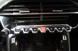Peugeot 208 ACTIVE picture 24