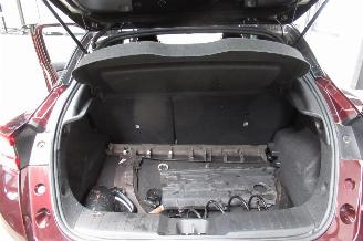 Nissan Juke SUV picture 23