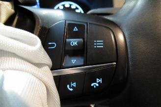 Ford Transit Custom CAMIONETTE picture 22