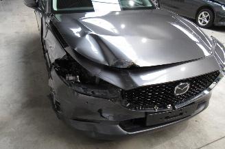 Mazda CX-30 SUV picture 8