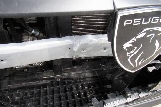 Peugeot 208 SEDAN picture 9