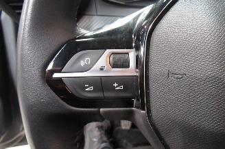 Peugeot 208 SEDAN picture 22