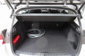 BMW iX1 SUV picture 14