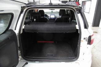 Ford EcoSport ST-LINE picture 14