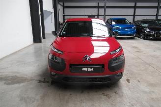 Citroën C4 cactus SHINE picture 7