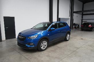 occasion passenger cars Opel Grandland SUV 2019/1