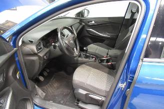 Opel Grandland SUV picture 11