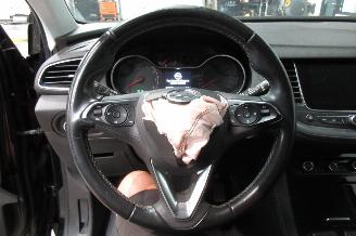 Opel Grandland SUV picture 19