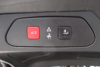 Opel Grandland SUV picture 17