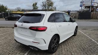 Mercedes B-klasse B 250e*AMG*Ambiente*LED*Night*Distronic*Mod25 picture 4