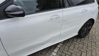 Mercedes B-klasse B 250e*AMG*Ambiente*LED*Night*Distronic*Mod25 picture 14