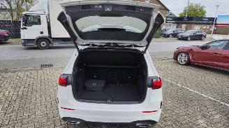 Mercedes B-klasse B 250e*AMG*Ambiente*LED*Night*Distronic*Mod25 picture 9