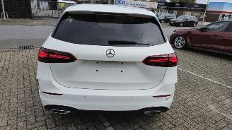 Mercedes B-klasse B 250e*AMG*Ambiente*LED*Night*Distronic*Mod25 picture 5