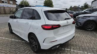 Mercedes B-klasse B 250e*AMG*Ambiente*LED*Night*Distronic*Mod25 picture 6