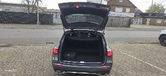 Mercedes E-klasse E300de PluginHybrid picture 16