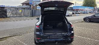 Porsche Cayenne  picture 15