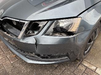 Skoda Octavia SKODA OCTAVIA 1.6TDI 2019 picture 3