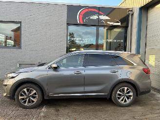 Vaurioauto  passenger cars Kia Sorento Kia Sorento 2.2D AWD 2018 7 zit 2018/10
