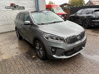 Kia Sorento Kia Sorento 2.2D AWD 2018 7 zit picture 6