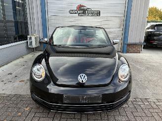 Volkswagen Beetle VW BEETLE 1.6TDI 2013 picture 4