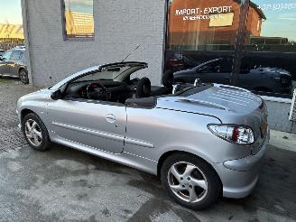 Peugeot 206 PEUGEOT 206cc 2004 1.6I picture 11