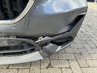 BMW X1 BMW X1 sDrive 16d 2020 picture 4