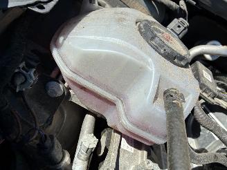 Seat Ibiza SEAT IBIZA 1.0I DSG 2024 picture 10