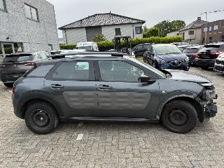 Citroën C4 cactus CITROEN C4 CACTUS 1.6D 2016 SLOOP picture 8