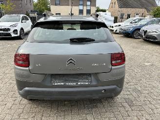 Citroën C4 cactus CITROEN C4 CACTUS 1.6D 2016 SLOOP picture 10
