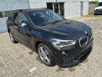 BMW X1 BMW X1 xDrive20d 2019 M picture 6