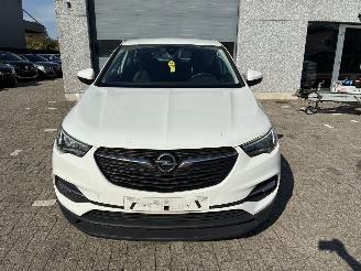 Opel Grandland OPEL GRANDLAND X 1.2I 2019 picture 9