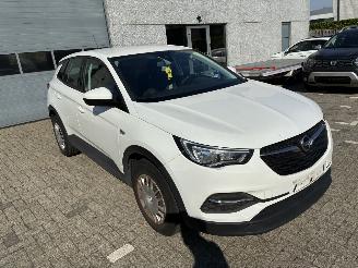 Opel Grandland OPEL GRANDLAND X 1.2I 2019 picture 10