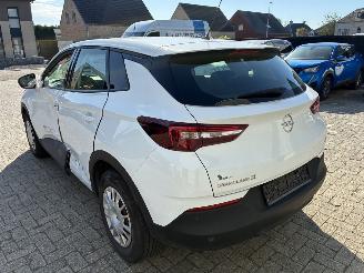 Opel Grandland OPEL GRANDLAND X 1.2I 2019 picture 14