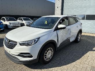 uszkodzony samochody osobowe Opel Grandland OPEL GRANDLAND X 1.2I 2019 2019/12