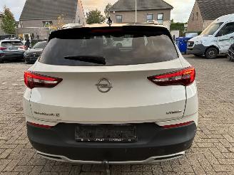 Opel Grandland OPEL GRANDLAND X HYBRID 2020 picture 15