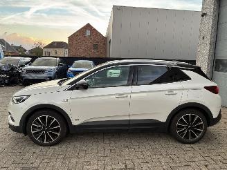 Opel Grandland OPEL GRANDLAND X HYBRID 2020 picture 2