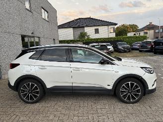 Opel Grandland OPEL GRANDLAND X HYBRID 2020 picture 12