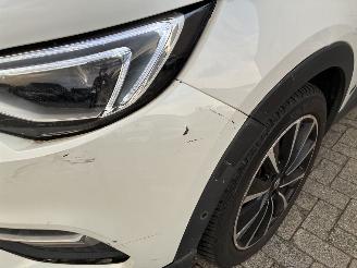 Opel Grandland OPEL GRANDLAND X HYBRID 2020 picture 3