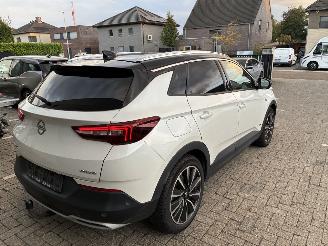 Opel Grandland OPEL GRANDLAND X HYBRID 2020 picture 14
