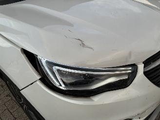 Opel Grandland OPEL GRANDLAND X HYBRID 2020 picture 6
