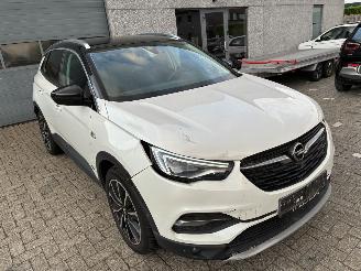 Opel Grandland OPEL GRANDLAND X HYBRID 2020 picture 5