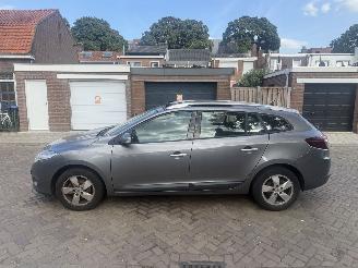 Renault Mégane 1.4 TCe Dynamique picture 14